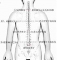 2017年5月13日 (六) 13:37的版本的缩略图