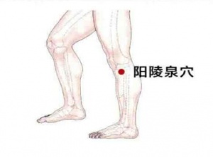 小腿抽筋1.jpg