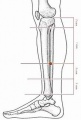 2017年5月13日 (六) 13:41的版本的缩略图